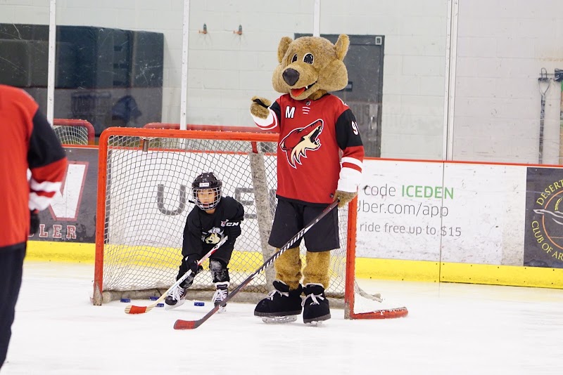 Ice Den Chandler photo 3