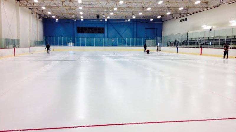 Photo of Ice Den Chandler