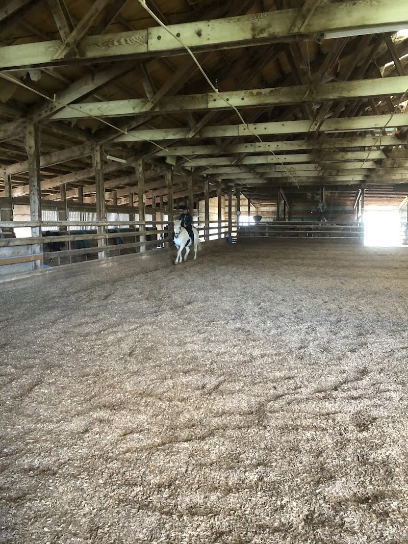 Arabian Star Equestrian Center photo 4