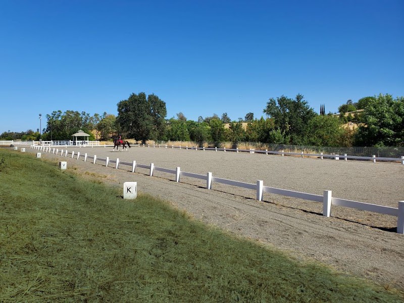 Photo of Arabian Star Equestrian Center