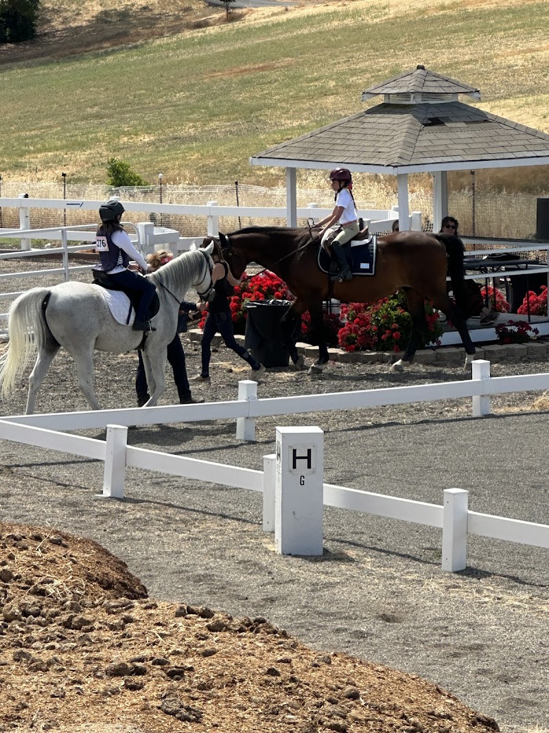 Arabian Star Equestrian Center photo 2