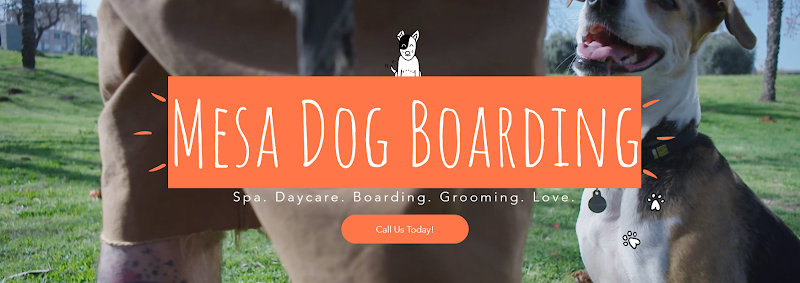 Photo of Mesa Dog Boarding