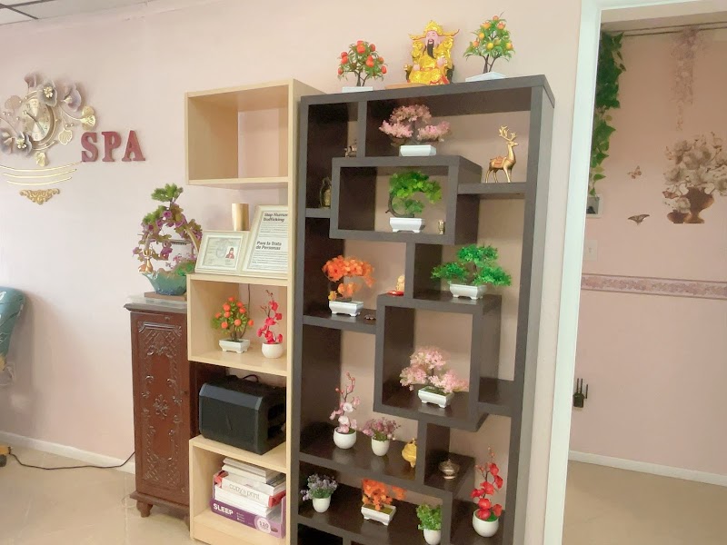 Eden on Palm Harbor Massage