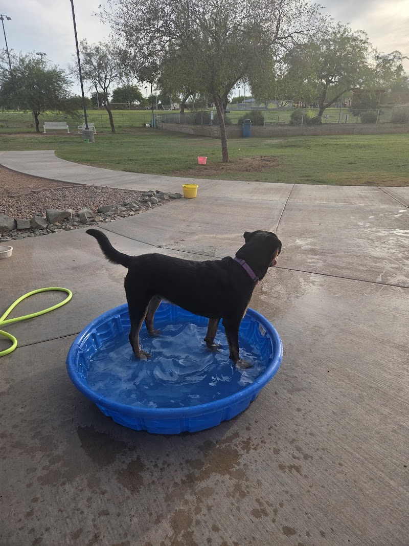 Desert Vista Dog Park photo 5
