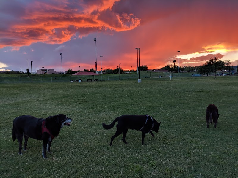 Desert Vista Dog Park photo 3