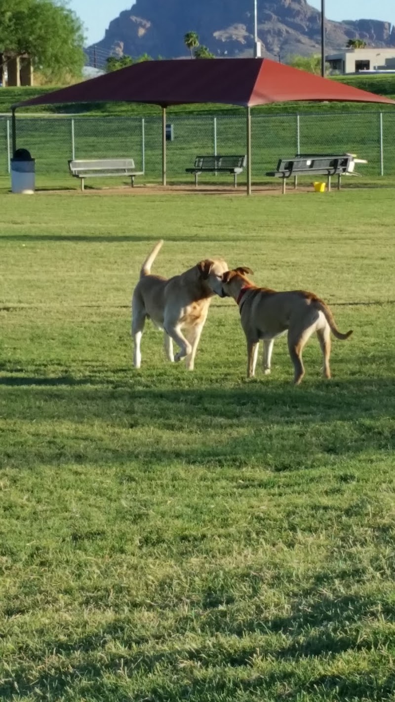 Desert Vista Dog Park photo 4