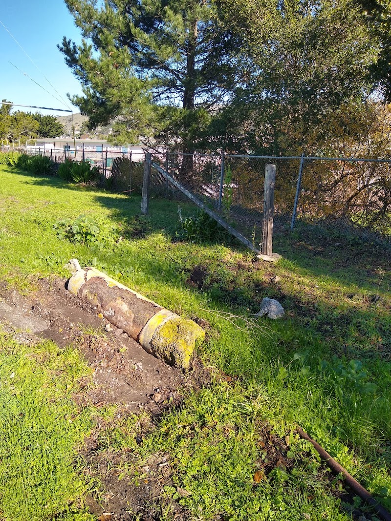 Shamrock Ranch Kennels photo 4