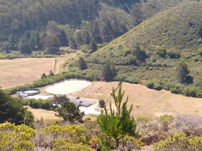 Photo of Shamrock Ranch Kennels