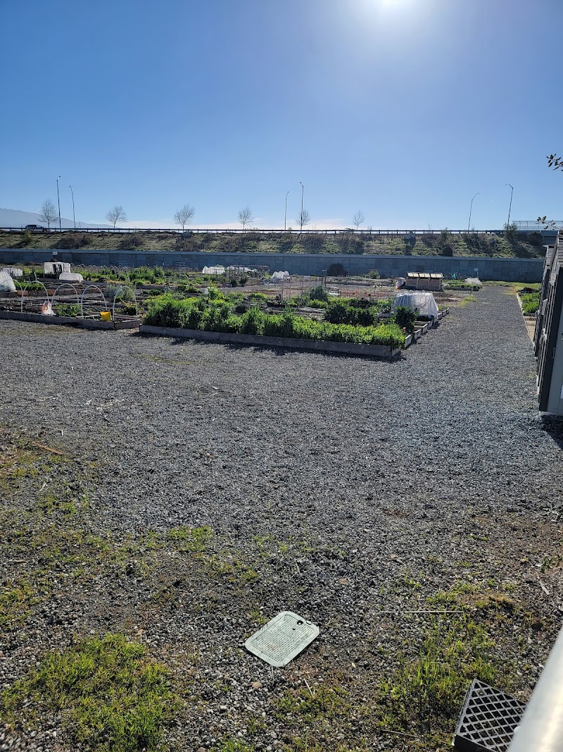 Photo of Morgan Hill Community Garden