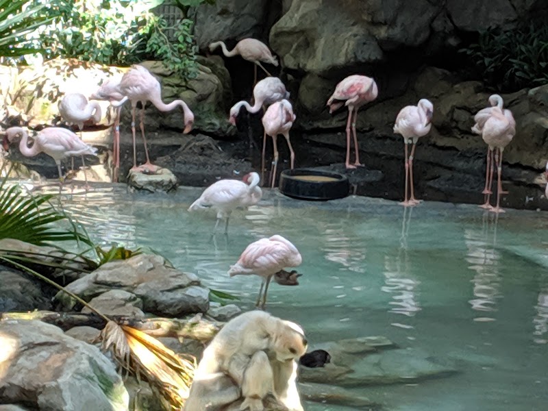 Minnesota Zoo photo 4