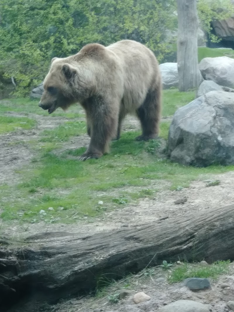 Minnesota Zoo photo 5