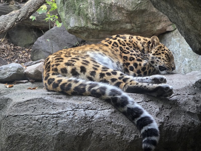 Minnesota Zoo photo 3