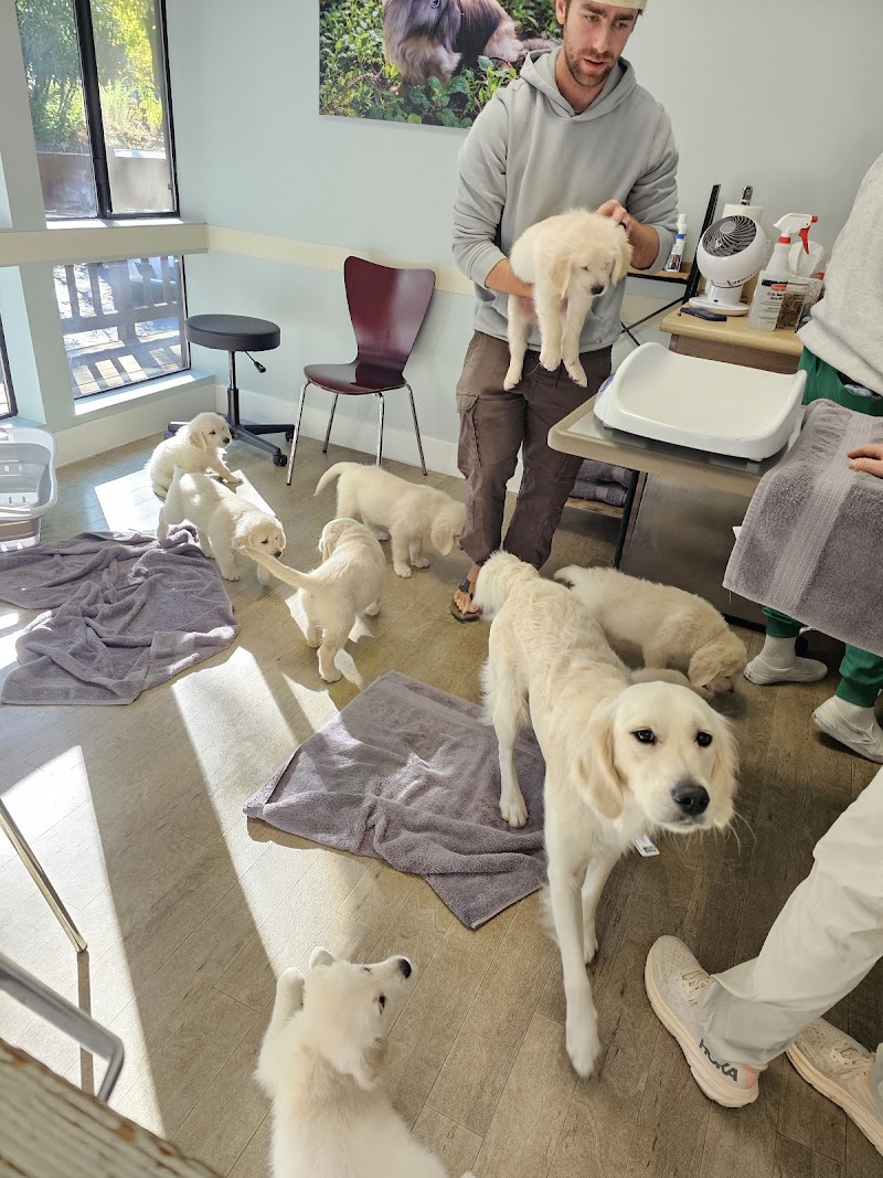 Theater View Veterinary Clinic photo 5