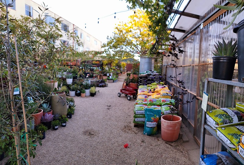 Flowerland Nursery photo 4