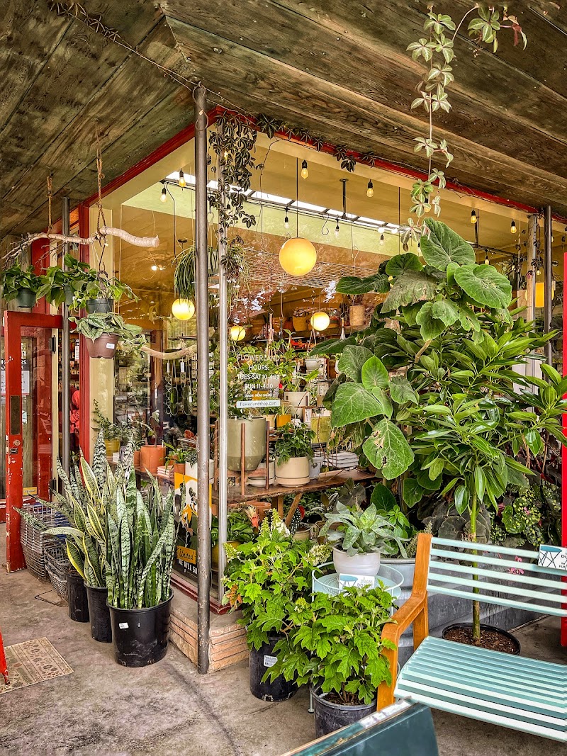 Photo of Flowerland Nursery