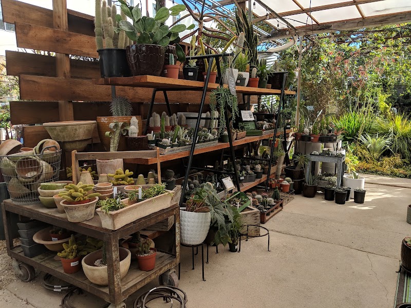 Flowerland Nursery photo 5