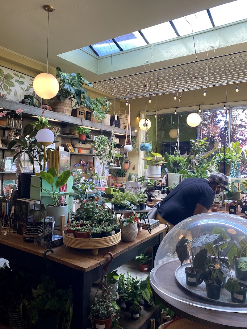 Flowerland Nursery photo 3