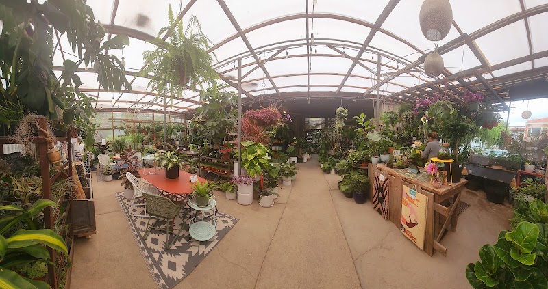 Flowerland Nursery photo 2