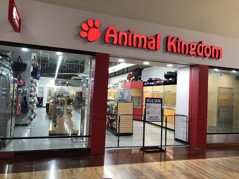 Photo of Animal Kingdom