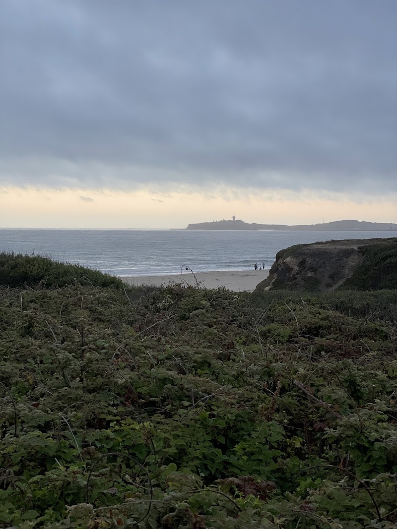 Venice State Beach photo 4