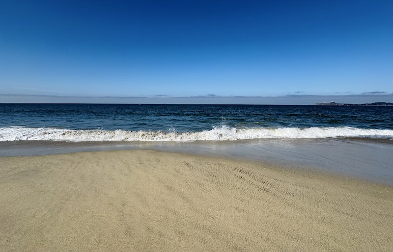 Venice State Beach photo 3