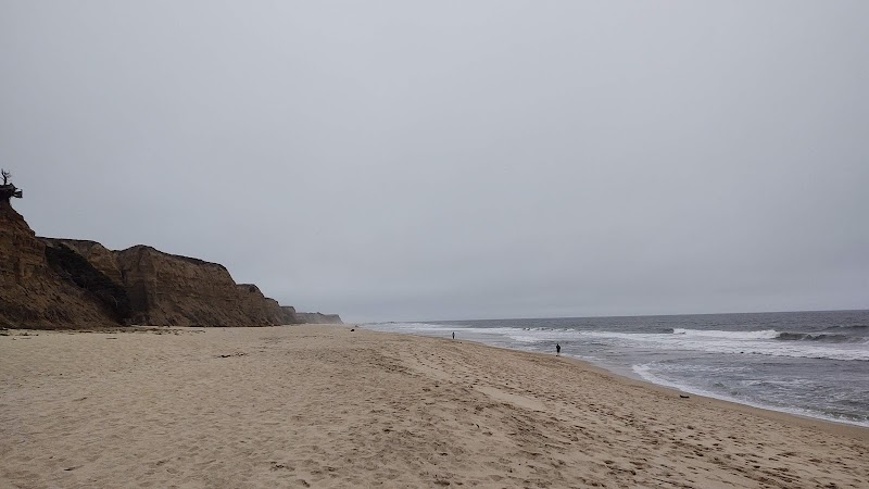 Venice State Beach photo 2