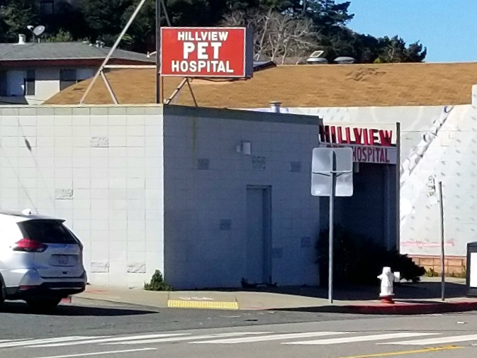 Hillview Pet Hospital photo 5