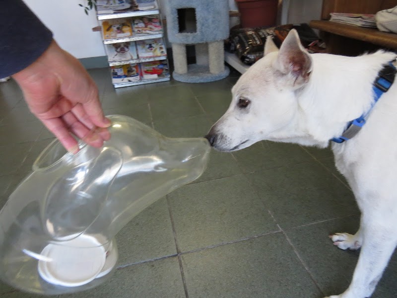 Hillview Pet Hospital photo 3