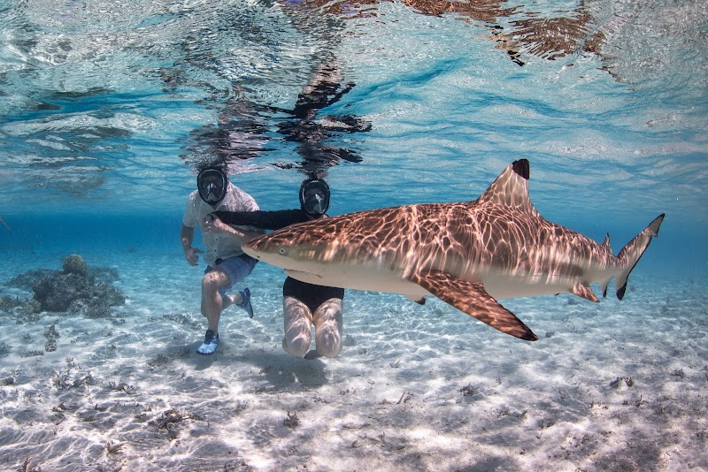 Photo of Rawhide Travel & Tours Inc