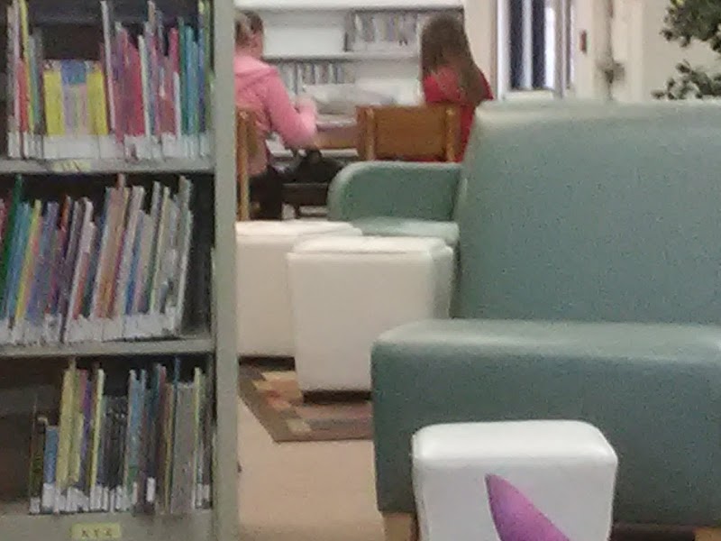Friends of the Library photo 4
