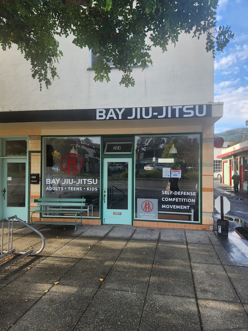 Bay Jiu-Jitsu photo 2