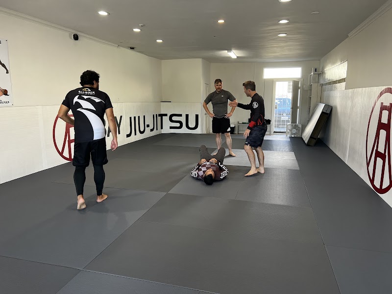 Bay Jiu-Jitsu photo 4