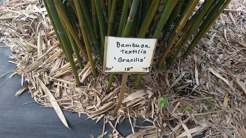 Bamboo Gardens photo 3