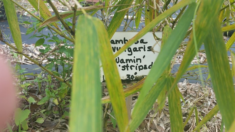 Bamboo Gardens photo 5