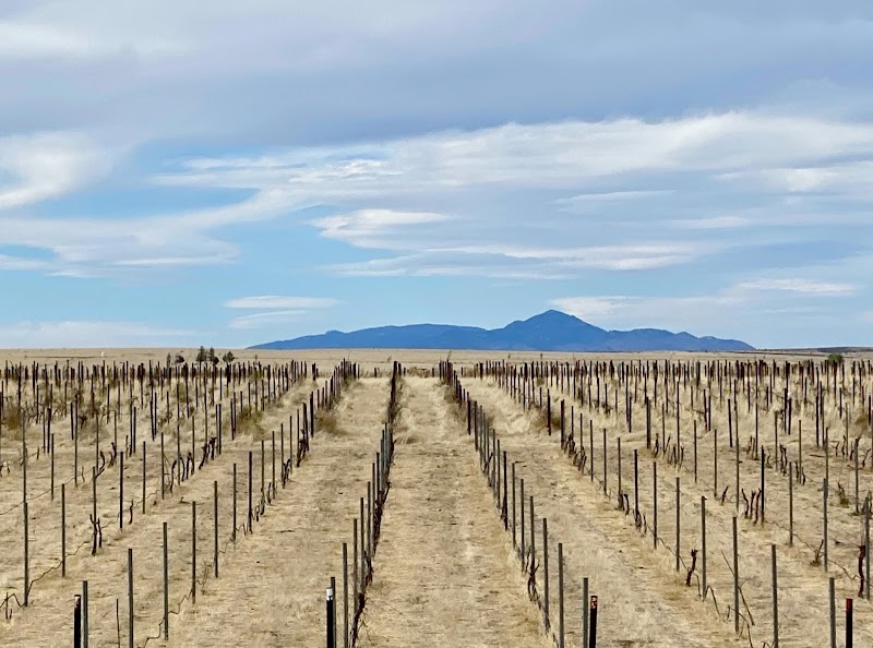 Twisted Union Wine Company photo 2