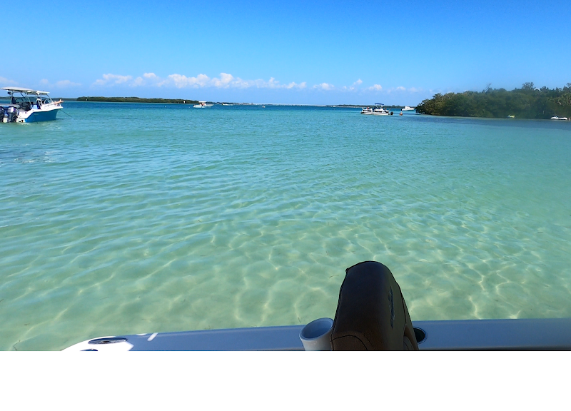 Pirate City Boat Charters photo 3