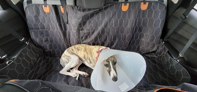 Saratoga Veterinary Hospital photo 3