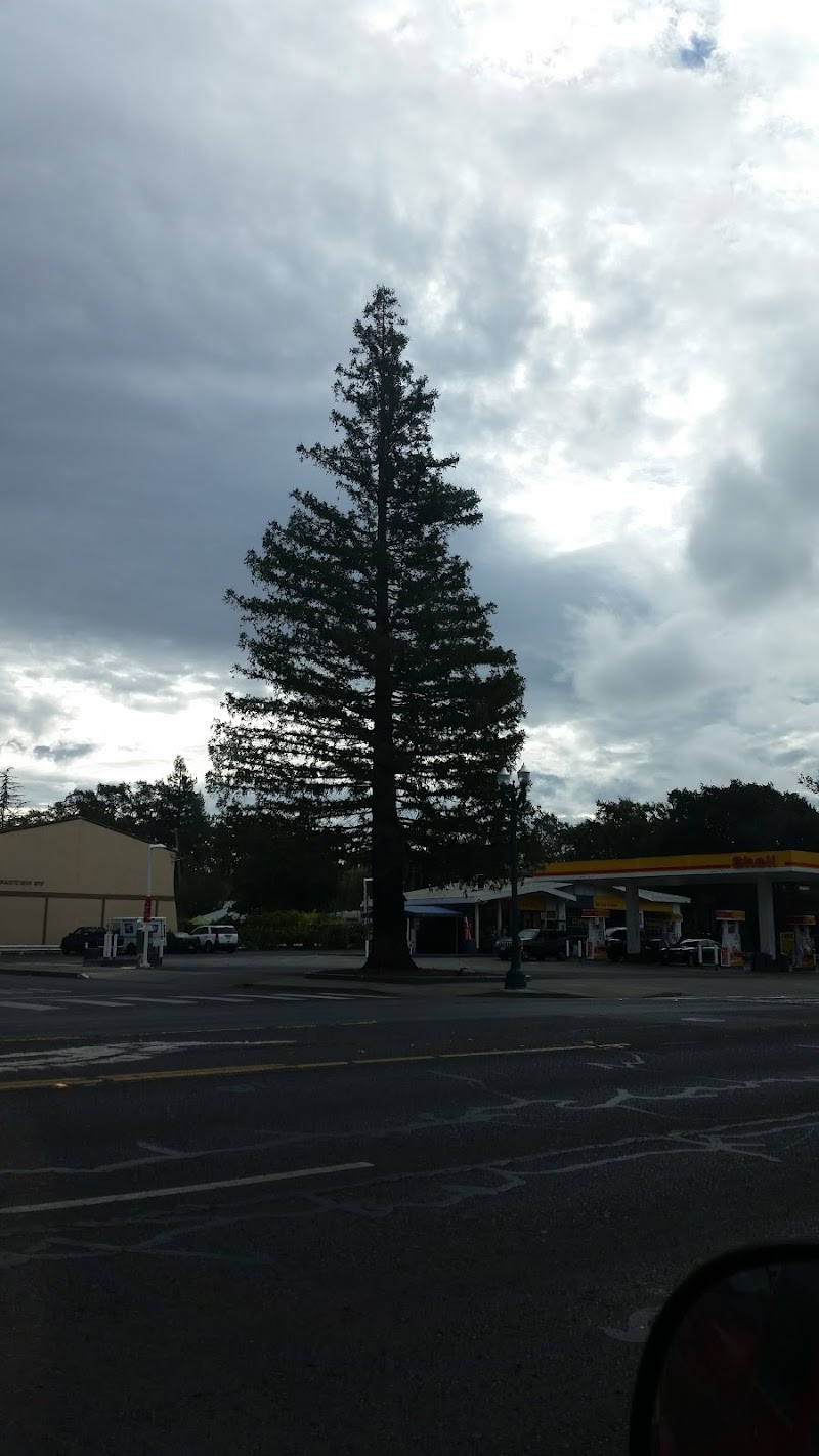 Photo of carneros village