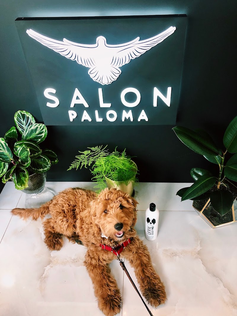Salon Paloma photo 5