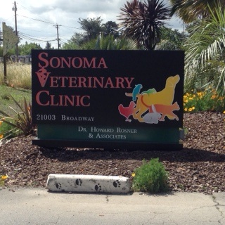 Sonoma Veterinary Clinic photo 2