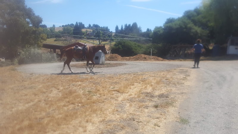 Chris Brown Cutting Horses photo 3