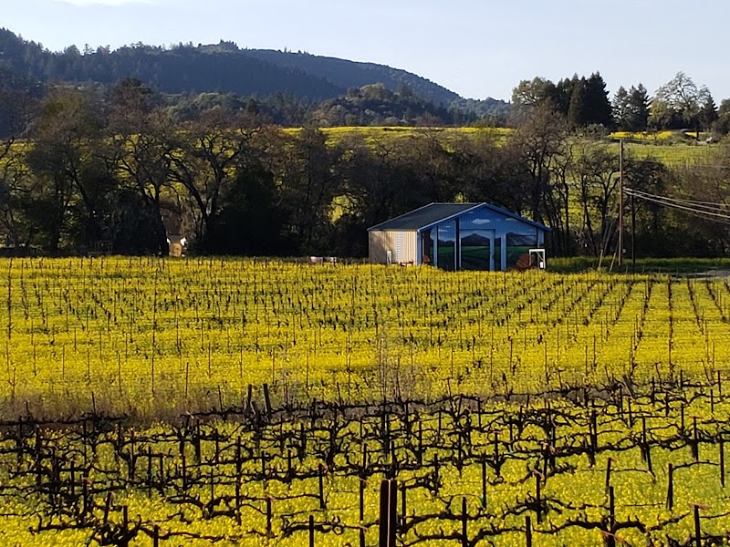 Michel-Schlumberger Wine Estate photo 5