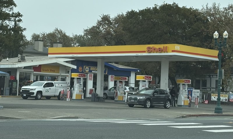 Shell photo 2