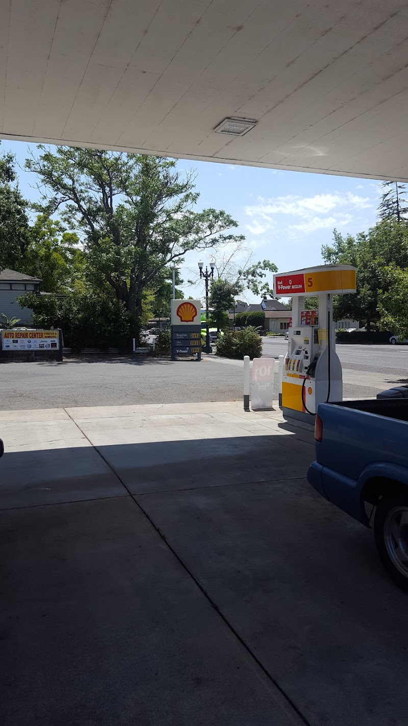 Shell photo 5