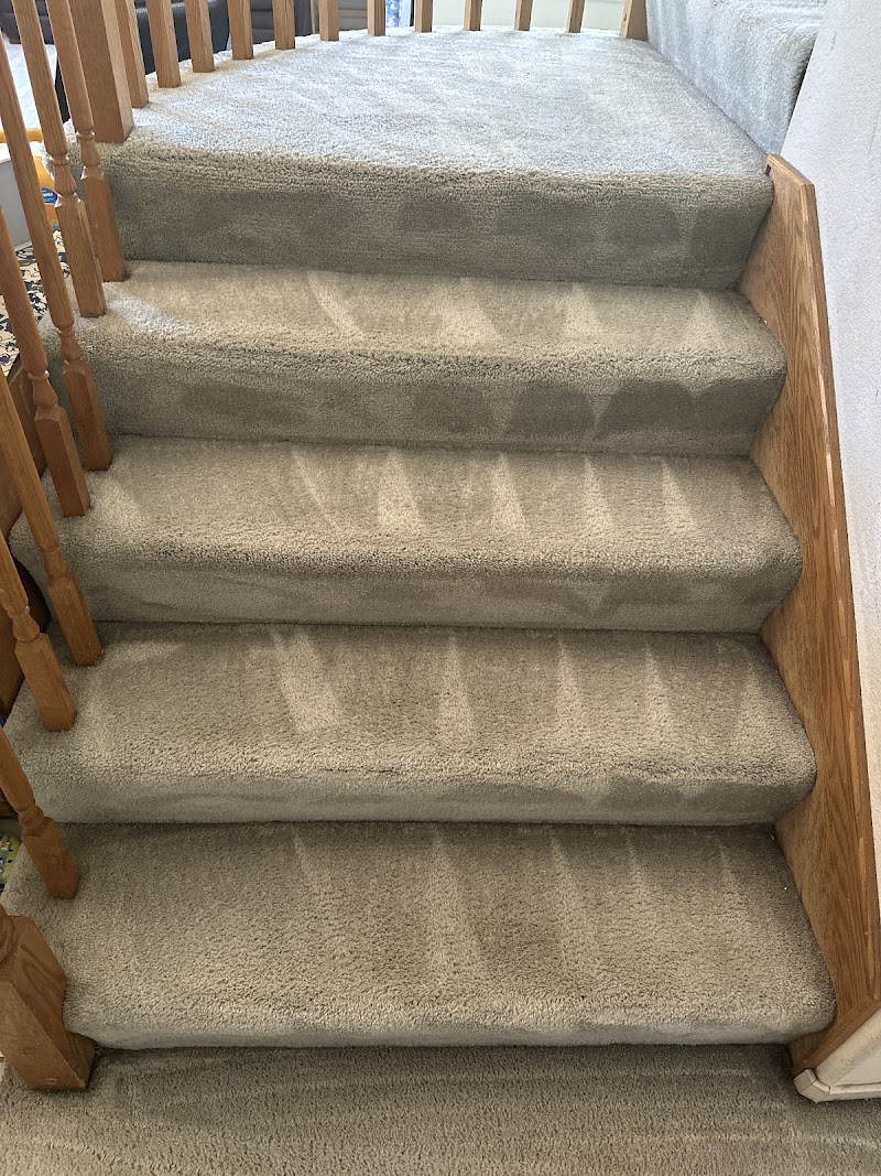 Next level carpet care photo 4