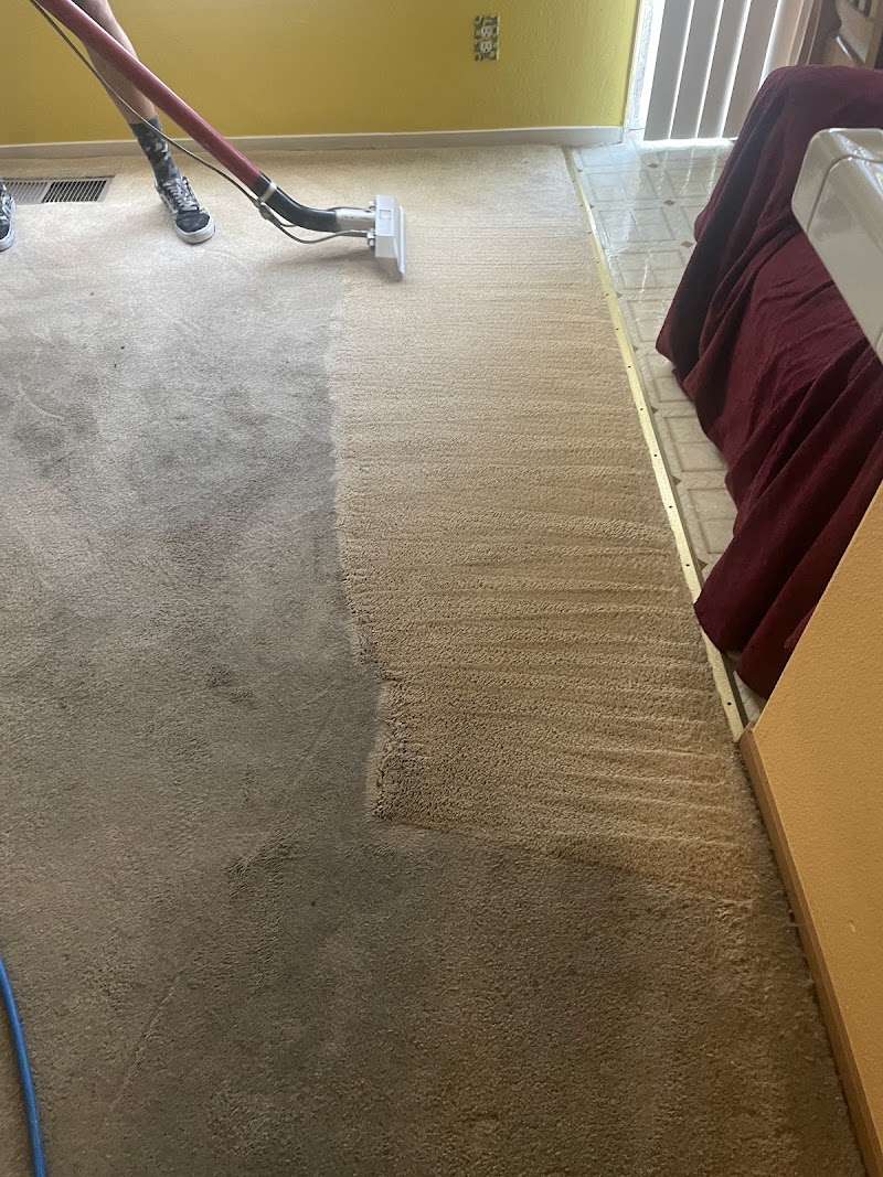 Photo of Next level carpet care