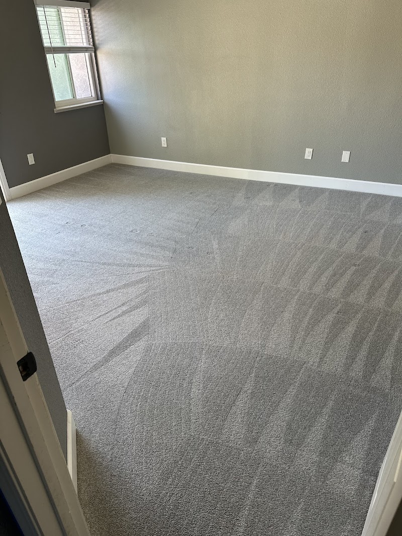 Next level carpet care photo 2
