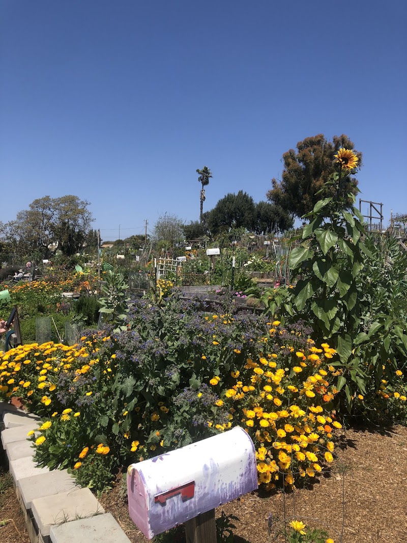 Ocean View Farms photo 2