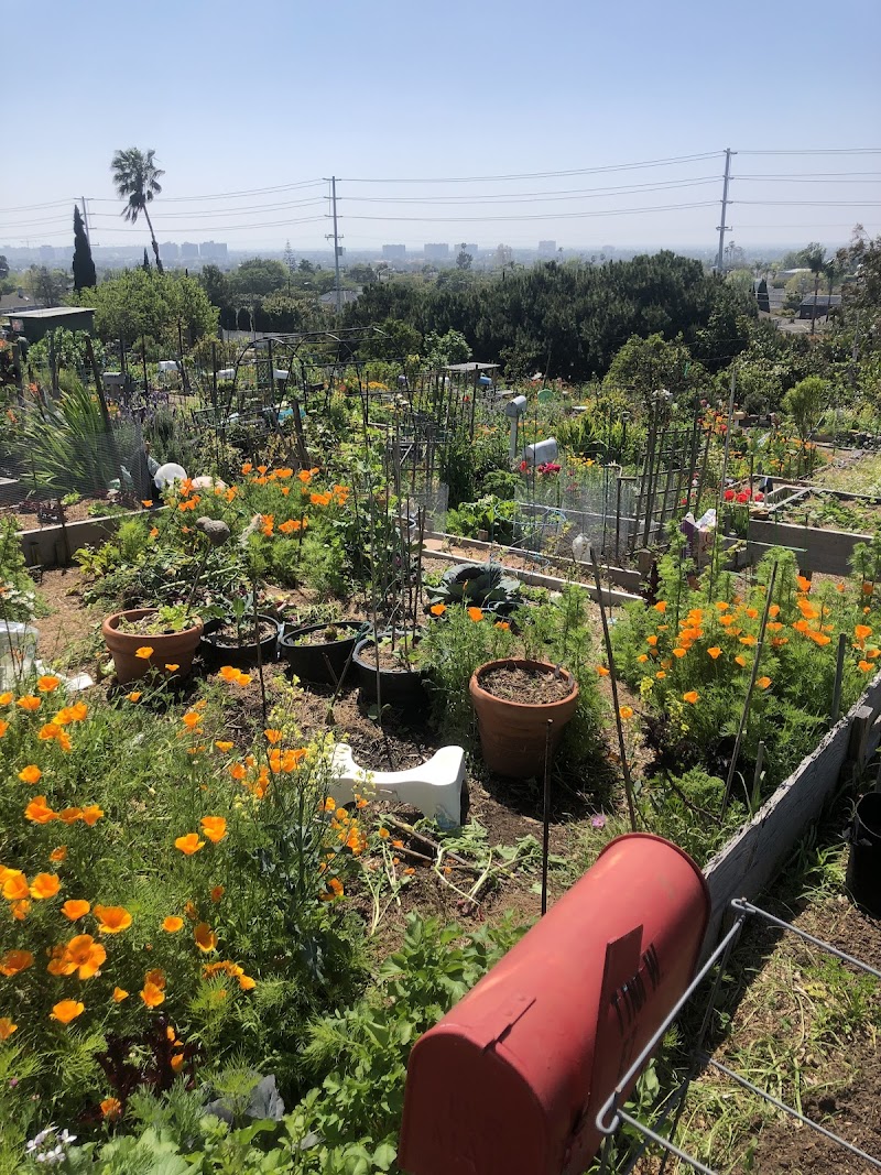 Ocean View Farms photo 3