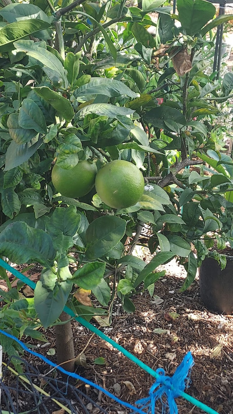 Ocean View Farms photo 4